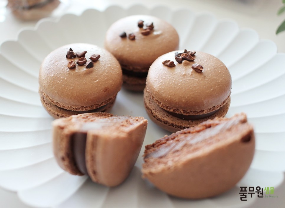 1-초코마카롱